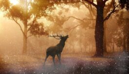 Laika ziņu moderators Martins Bergšteins brīdina: Latvijai tuvojas ciklons, kas “nes” straujas izmaiņas laika apstākļos Laika ziņu moderators Martins Bergšteins brīdina: Latvijai tuvojas ciklons, kas “nes” straujas izmaiņas laika apstākļos