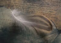 Kad un kādēļ eņģeļi mums sūta balto spalvu, bet kad — melnu, raibu vai krāsainu Kad un kādēļ eņģeļi mums sūta balto spalvu, bet kad — melnu, raibu vai krāsainu