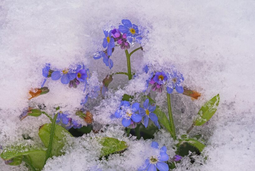 Sinoptiķi prognozē 2026.gada pavasari: ”Gaidāms pavasaris ar vasaras cienīgu uznācienu”