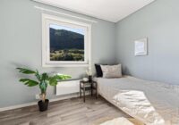 5 istabas augi, kuri liks jūsu mājoklim smaržot – nevajadzēs pat vīraku dedzināt 5 istabas augi, kuri liks jūsu mājoklim smaržot – nevajadzēs pat vīraku dedzināt