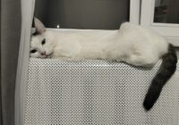 3 “neredzamās” ierīces, kas ziemā apēd ceturtdaļu jūsu elektrības rēķina: atklāju, ko obligāti jāizslēdz no rozetes