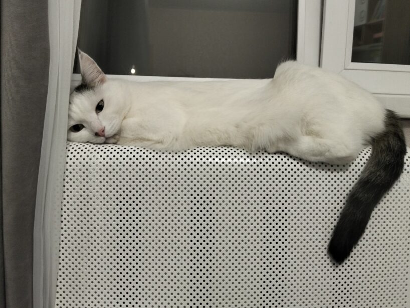 3 “neredzamās” ierīces, kas ziemā apēd ceturtdaļu jūsu elektrības rēķina: atklāju, ko obligāti jāizslēdz no rozetes