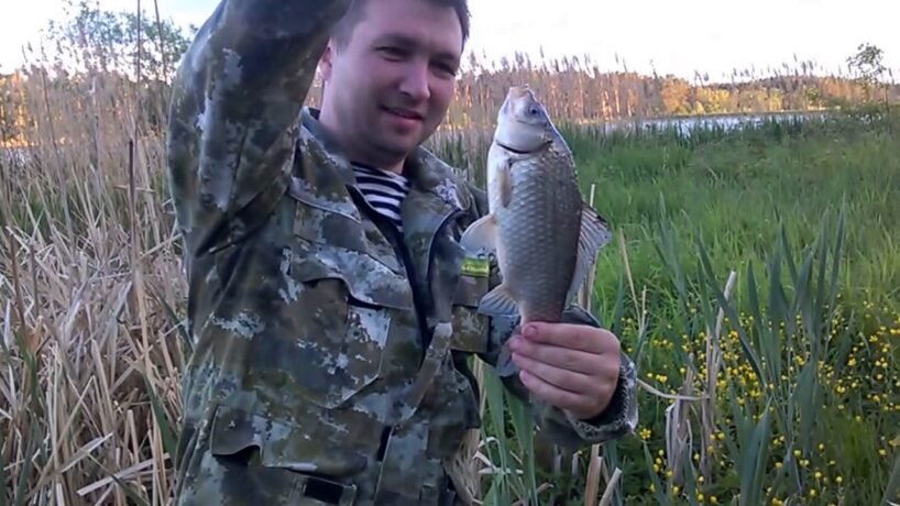 Makšķernieks Mēmeles upē noķēra mazu karūsu un ielika to akvārijā – vēlāk tā kļuva par pagasta sensāciju