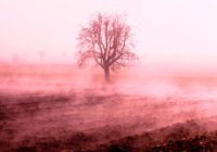 Dabas zīmju vērotājs Vilis Bukšs nosaucis dienu, kad Latvijā būs -10 grādi un pirmais noturīgais sniegs Dabas zīmju vērotājs Vilis Bukšs nosaucis dienu, kad Latvijā būs -10 grādi un pirmais noturīgais sniegs