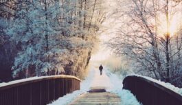 No 22. novembra visā Latvijas teritorijā iestāsies kārtīga ziema: meteorologi nosauc, cik lielus mīnusus jāgaida No 22. novembra visā Latvijas teritorijā iestāsies kārtīga ziema: meteorologi nosauc, cik lielus mīnusus jāgaida