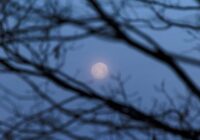 Novembra Supermēness un zodiaks: kas mainīsies katrai zīmei