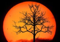 Tikai divām Zodiaka zīmēm decembris nesīs izaicinājumus: pienāks grūtāki laiki Tikai divām Zodiaka zīmēm decembris nesīs izaicinājumus: pienāks grūtāki laiki