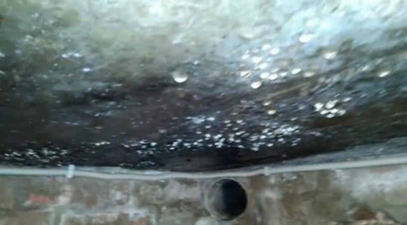 Vairs nemokos ar kondensātu pagrabā pat ziemā —  viena ģeniāla viltība glāba manu ražu no pelējuma un mitruma