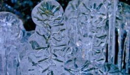 “Bīstams skaistums!”: meteorologs Toms Bricis publicējis satraucošus kadrus no Cēsu novada, kas filmēts sestdienas vakarā (+ VIDEO)