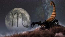 Jaunmēness Skorpionā (20. novembris) – no kādām kļūdām jāizvairās, lai nesabojātu nākotni Jaunmēness Skorpionā (20. novembris) – no kādām kļūdām jāizvairās, lai nesabojātu nākotni