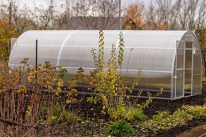 Sens dārzkopja triks: kā sildīt siltumnīcu bez elektrības un dārgiem sildītājiem