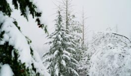 Iedzīvotāji tiek aicināti sagatavoties “temperatūras svārstībām” ziemas sākumā: ”Viegli nebūs” Iedzīvotāji tiek aicināti sagatavoties “temperatūras svārstībām” ziemas sākumā: ”Viegli nebūs”