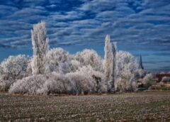Andreja diena 30. novembrī: dabas zīmju vērotājs Vilis Bukšs prognozē – līdz pat decembra vidum var būt ļoti nepatīkams laiks