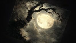 2. decembris- Mēness brīdina: nekādā gadījumā neuzsāciet šos darbus 2. decembris- Mēness brīdina: nekādā gadījumā neuzsāciet šos darbus