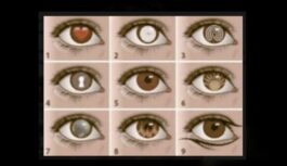 Teksts- Ko acis stāsta par tevi: izzini sevi caur acu pasauli Teksts- Ko acis stāsta par tevi: izzini sevi caur acu pasauli