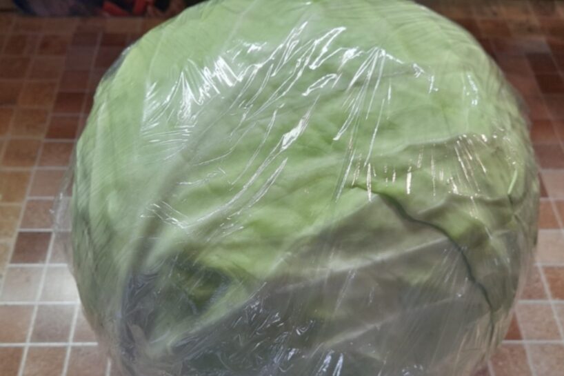 Kā ziemā ilgāk saglabāt kāpostu, izmantojot pārtikas plēvi: vienkārši noteikumi