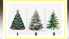 Laiks iepazīt sevi: izvēlieties svētku eglīti, un mēs pastāstīsim, kāds ir jūsu raksturs