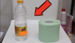 Kāpēc tualetes papīru vajadzētu apliet ar etiķi: neierasts, bet efektīvs padoms