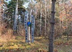 Atpūta dabas klēpī: “Rīvas loku” valdzinājums un lielas pārmaiņas