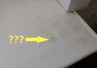 Kā ātri nomazgāt plastmasas palodzi no dzelteniem traipiem un noturīgiem netīrumiem: divas vienkāršas tīrīšanas līdzekļa receptes Kā ātri nomazgāt plastmasas palodzi no dzelteniem traipiem un noturīgiem netīrumiem: divas vienkāršas tīrīšanas līdzekļa receptes