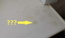 Kā ātri nomazgāt plastmasas palodzi no dzelteniem traipiem un noturīgiem netīrumiem: divas vienkāršas tīrīšanas līdzekļa receptes Kā ātri nomazgāt plastmasas palodzi no dzelteniem traipiem un noturīgiem netīrumiem: divas vienkāršas tīrīšanas līdzekļa receptes