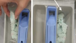 Veļas mašīnu meistars atklāja, kur pareizi bērt veļas pulveri: pulvera nodalījumā vai bungā