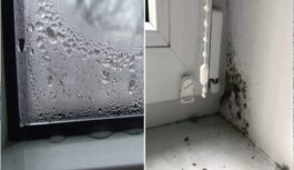 Mitra palodze — problēma un risinājuma veidi