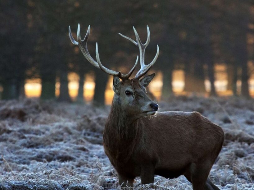 “Man šobrīd diemžēl nav nekā iepriecinoša”: meteorologs Toms Bricis nāk klajā ar šīs nedēļas laika prognozēm un atklāj, kādi būs Ziemassvētki