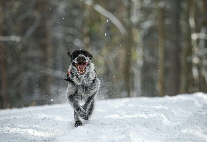 Meteorologs Toms Bricis: brīvdienās iestāsies kārtīga ziema, bet no 15. decembra viss strauji mainīsies
