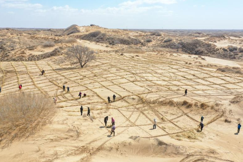 Kā Ķīna iestādīja miljoniem koku… un nejauši palika bez ūdens