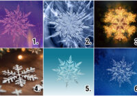 TESTS. Izvēlies sniegpārsliņu un uzzini, ko Uguns Zirgs tev patiesībā atnesīs 2026. gadā TESTS. Izvēlies sniegpārsliņu un uzzini, ko Uguns Zirgs tev patiesībā atnesīs 2026. gadā