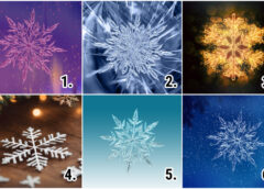TESTS. Izvēlies sniegpārsliņu un uzzini, ko Uguns Zirgs tev patiesībā atnesīs 2026. gadā