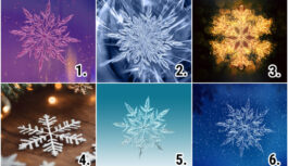 TESTS. Izvēlies sniegpārsliņu un uzzini, ko Uguns Zirgs tev patiesībā atnesīs 2026. gadā TESTS. Izvēlies sniegpārsliņu un uzzini, ko Uguns Zirgs tev patiesībā atnesīs 2026. gadā