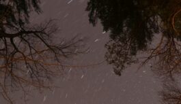 Sinoptiķi brīdina par sasalstošu lietu: ”Galvenās laikapstākļu izmaiņas notiks piektdien” Sinoptiķi brīdina par sasalstošu lietu: ”Galvenās laikapstākļu izmaiņas notiks piektdien”