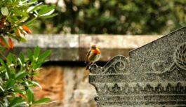 Kāpēc turīgi ārzemnieki klīst pa Latvijas kapsētām, nevis muzejiem – kāds tam iemesls Kāpēc turīgi ārzemnieki klīst pa Latvijas kapsētām, nevis muzejiem – kāds tam iemesls