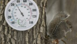 Sinoptiķi prognozē, cik ilgi saglabāsies pelēkais un drūmais laiks: ”Tumsa ilgs ilgāk kā parasti”