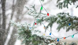 Dramatisks laikapstākļu pagrieziens sākot no 11.decembra: sinoptiķu jaunākā prognoze Dramatisks laikapstākļu pagrieziens sākot no 11.decembra: sinoptiķu jaunākā prognoze