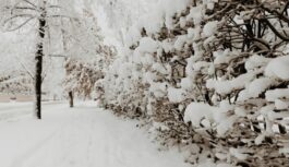 Laika prognoze decembra beigām un 2026. gada janvārim: siltums nomaina aukstumu