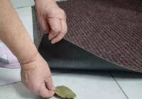 Noslēpums pie ārdurvīm: kāpēc viedas saimnieces zem paklāja liek lauru lapu