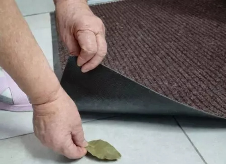 Noslēpums pie ārdurvīm: kāpēc viedas saimnieces zem paklāja liek lauru lapu