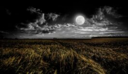 Ko nevajag darīt 1. janvārī, pretējā gadījumā viss gads būs pilns ar raizēm: tautas zīmes Harmonijas dienai