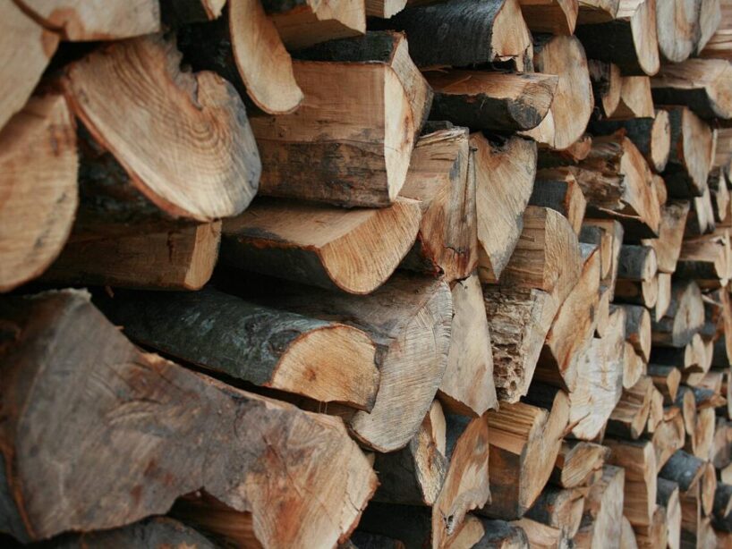 Uzmanieties no šādas malkas: tumša krāsa un spīdīga miza ir galvenās zīmes, ka tā vēl nav izžuvusi