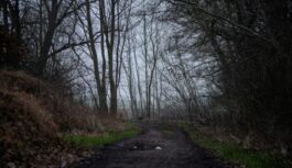 Sinoptiķi prognozē, ka viss sāksies 9. decembrī un varētu vilkties līdz pat nedēļai: ”Nāksies izturēt” Sinoptiķi prognozē, ka viss sāksies 9. decembrī un varētu vilkties līdz pat nedēļai: ”Nāksies izturēt”