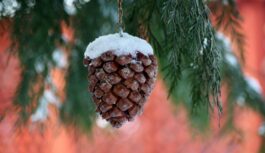 1. janvāris – īpašā ceturtdiena: kā pavadīt šo dienu, lai viss gads būtu laimīgs- ticējumi, rituāli un aizliegumi