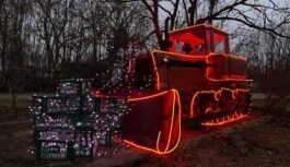 Dobeles Dārzkopības institūts: ziemas gaismas transformācija un mākslas sinerģija Dobeles Dārzkopības institūts: ziemas gaismas transformācija un mākslas sinerģija