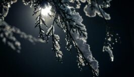 No plkst. 20:00 līdz rītdienas rītam Latvijā izplatīts dzeltenās pakāpes brīdinājums: ”Nosaukti reģioni, kuros jābūt uzmanīgiem” No plkst. 20:00 līdz rītdienas rītam Latvijā izplatīts dzeltenās pakāpes brīdinājums: ”Nosaukti reģioni, kuros jābūt uzmanīgiem”