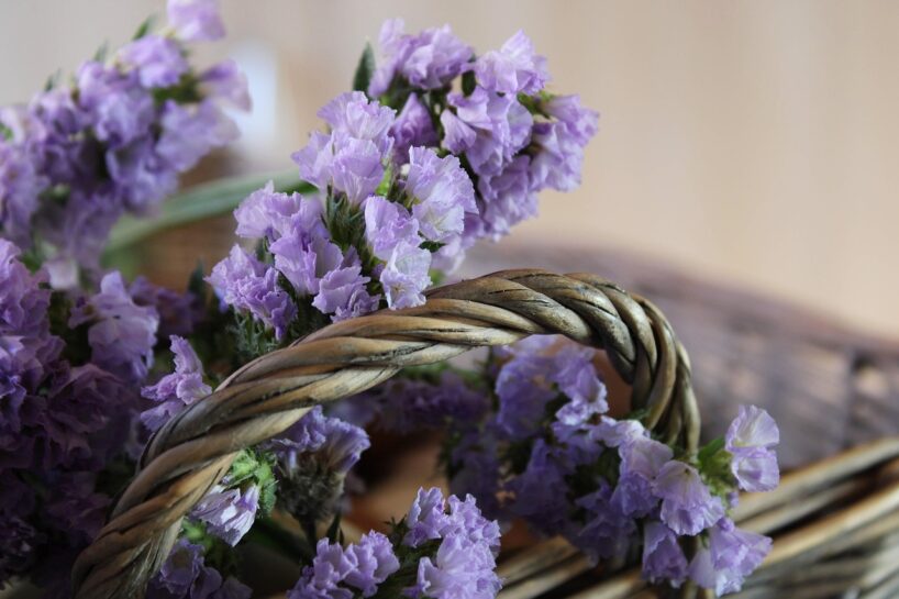 12 Konteineraugi, kas zied visu sezonu, lai gada griezumā padarītu jūsu mājokli spilgtāku