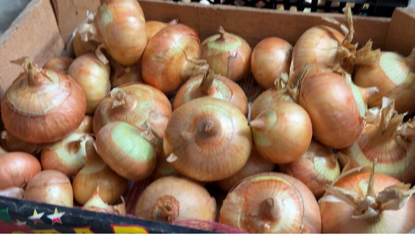 Agronoma noslēpums pret puvi: kā glabāt sīpolus līdz pat vasarai, lai tie nepūtu un atvairītu mušas