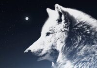 Decembris liek skatīties patiesībai acīs: horoskops katrai zodiaka zīmei