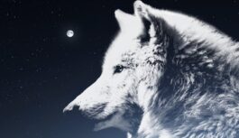 Decembris liek skatīties patiesībai acīs: horoskops katrai zodiaka zīmei